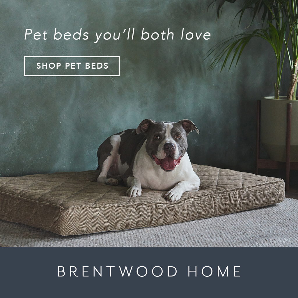Brentwood Home Pet Bed Review: Emily Wang