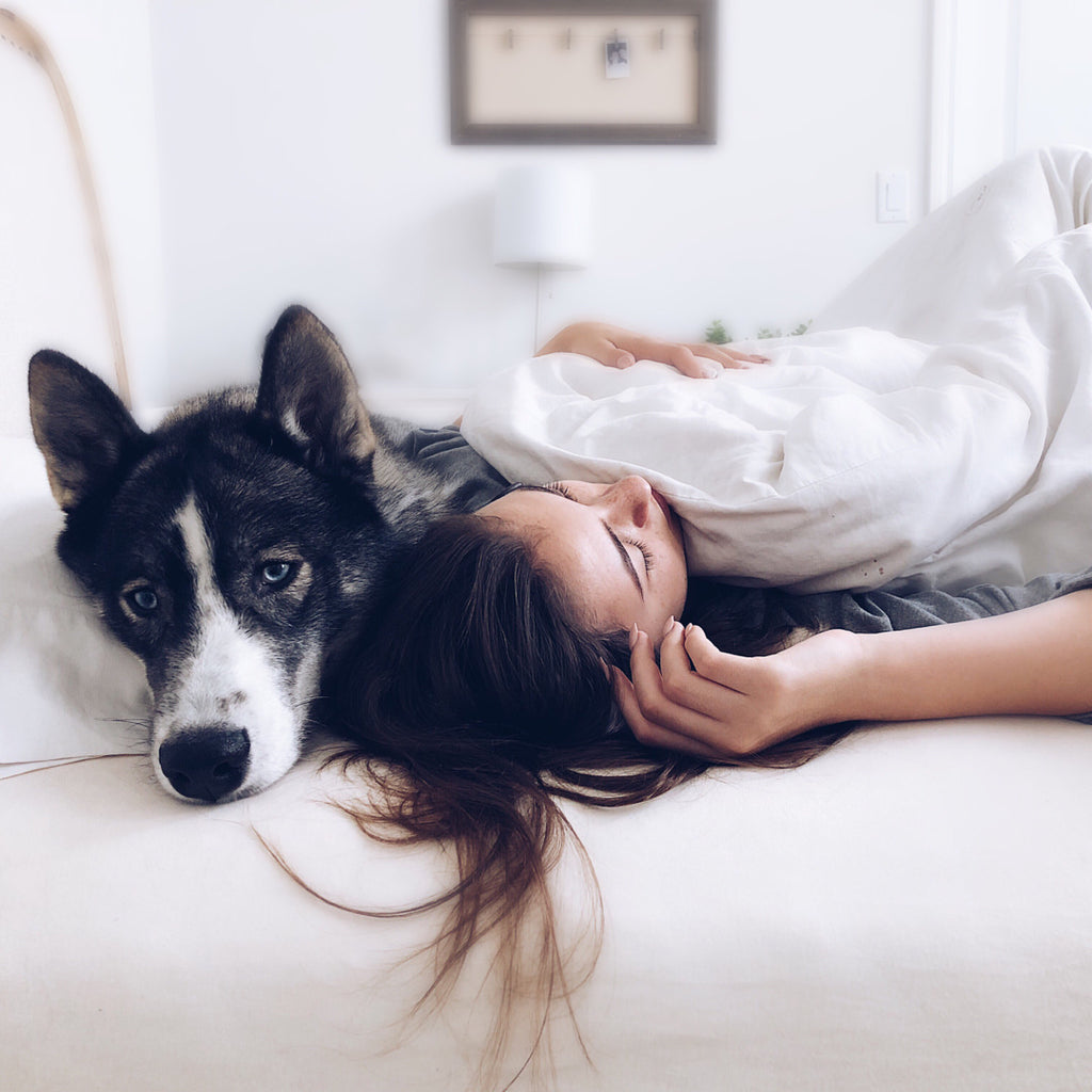 Is Co-sleeping With Your Dog a Good Idea?