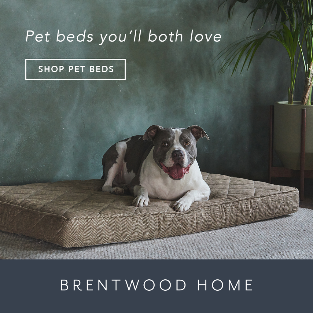 Brentwood Home Pet Bed Review by Emily Wang