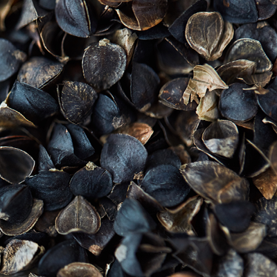 3 Reasons to Love Buckwheat