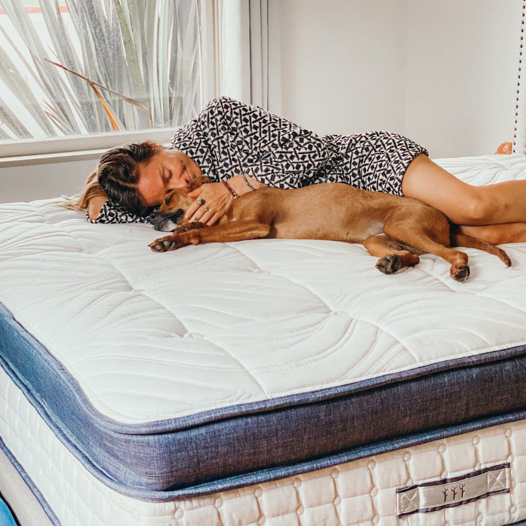 Doggie Wellness Influencers on Instagram