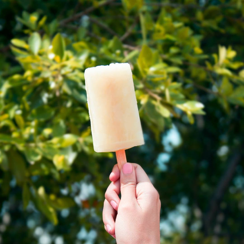 Healthy DIY Summer Popsicles
