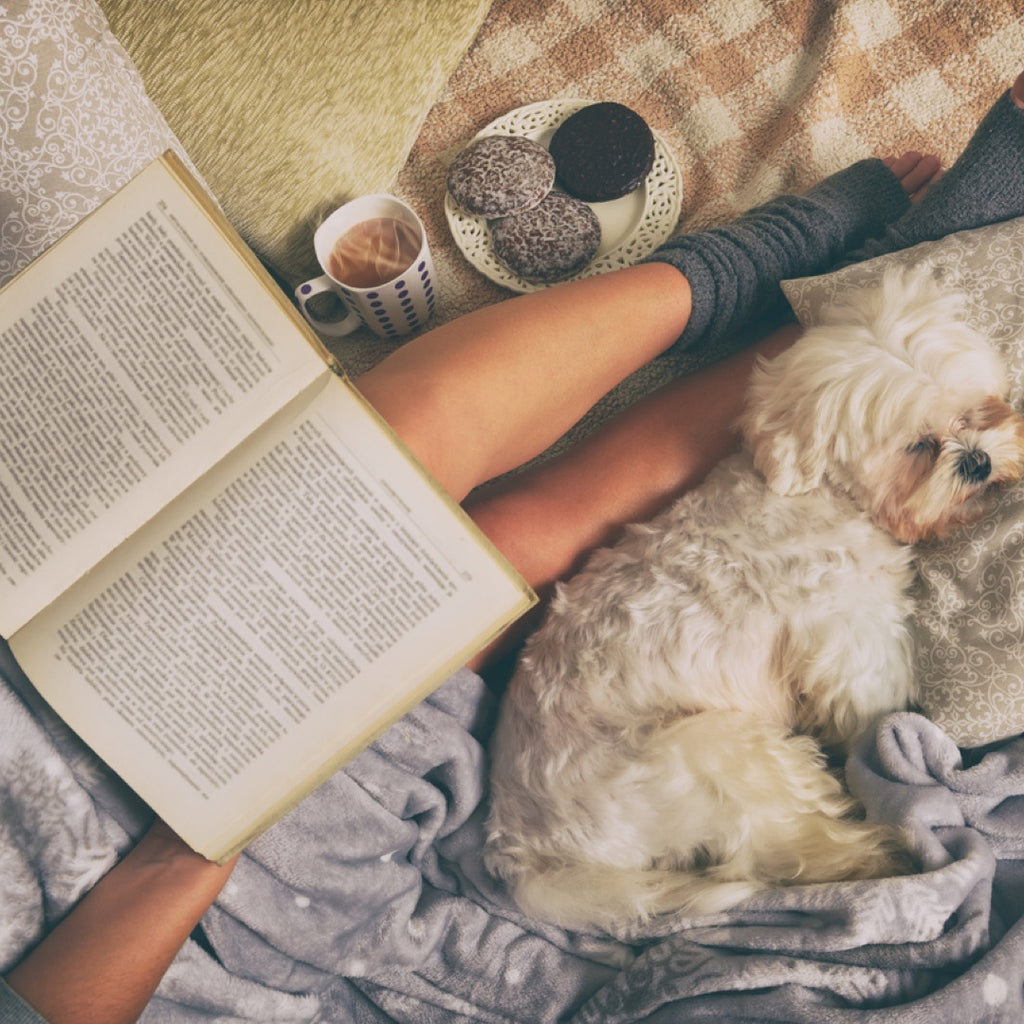 5 Steps to Creating a Home Sanctuary