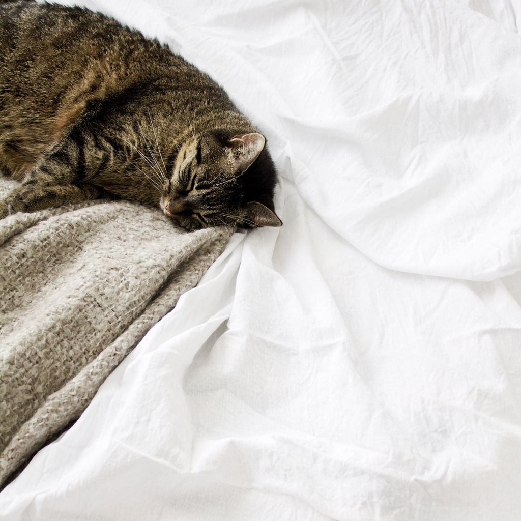 Optimize Slumber – Enhance Sleep Naturally