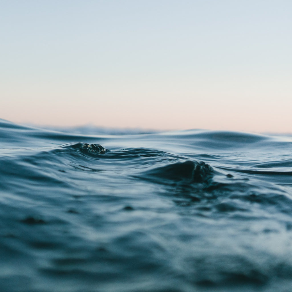 4 Steps To A Better Mental Detox
