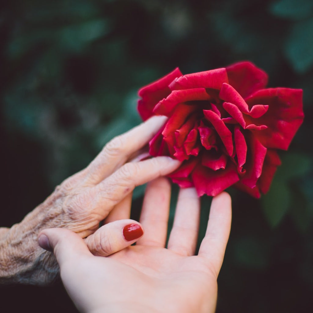 Self-Love & the Beauty of Aging