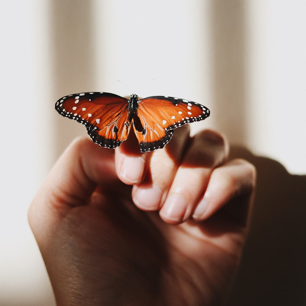 Everyday Magic - Find The Extraordinary in Each Day