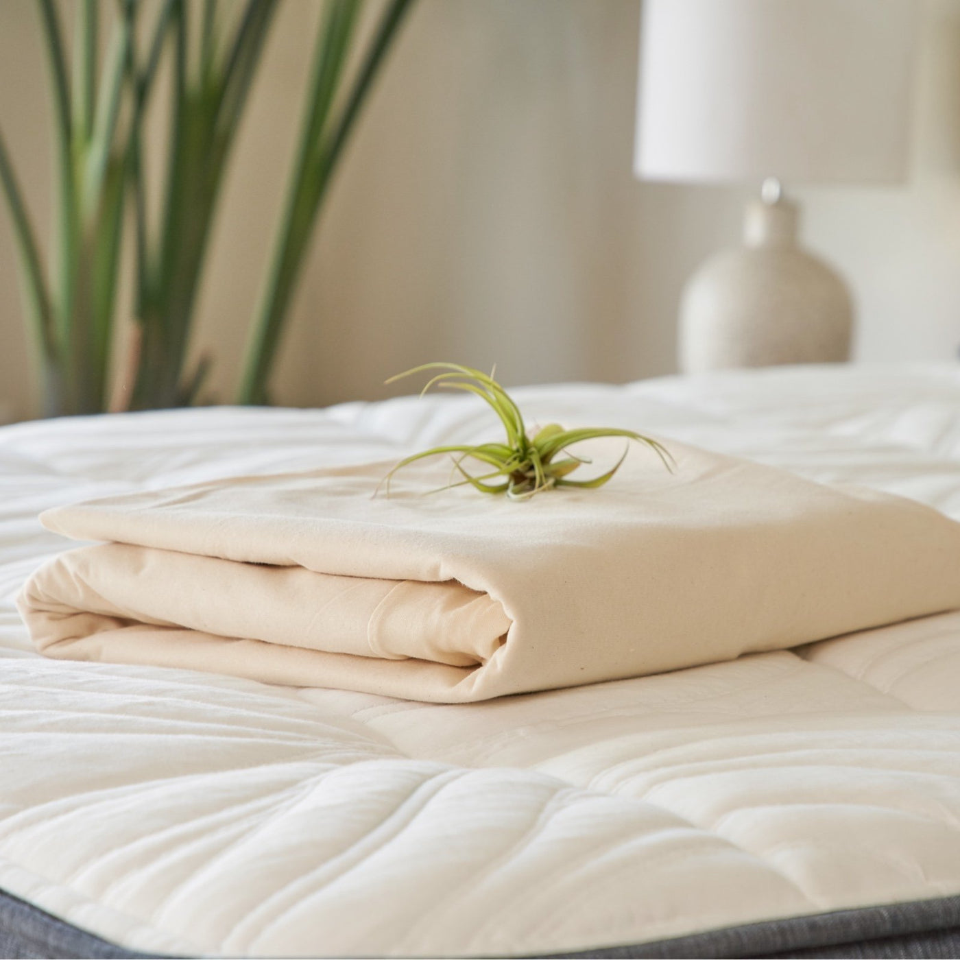 Organic Cotton Mattress Pad Protector by Avocado - Full