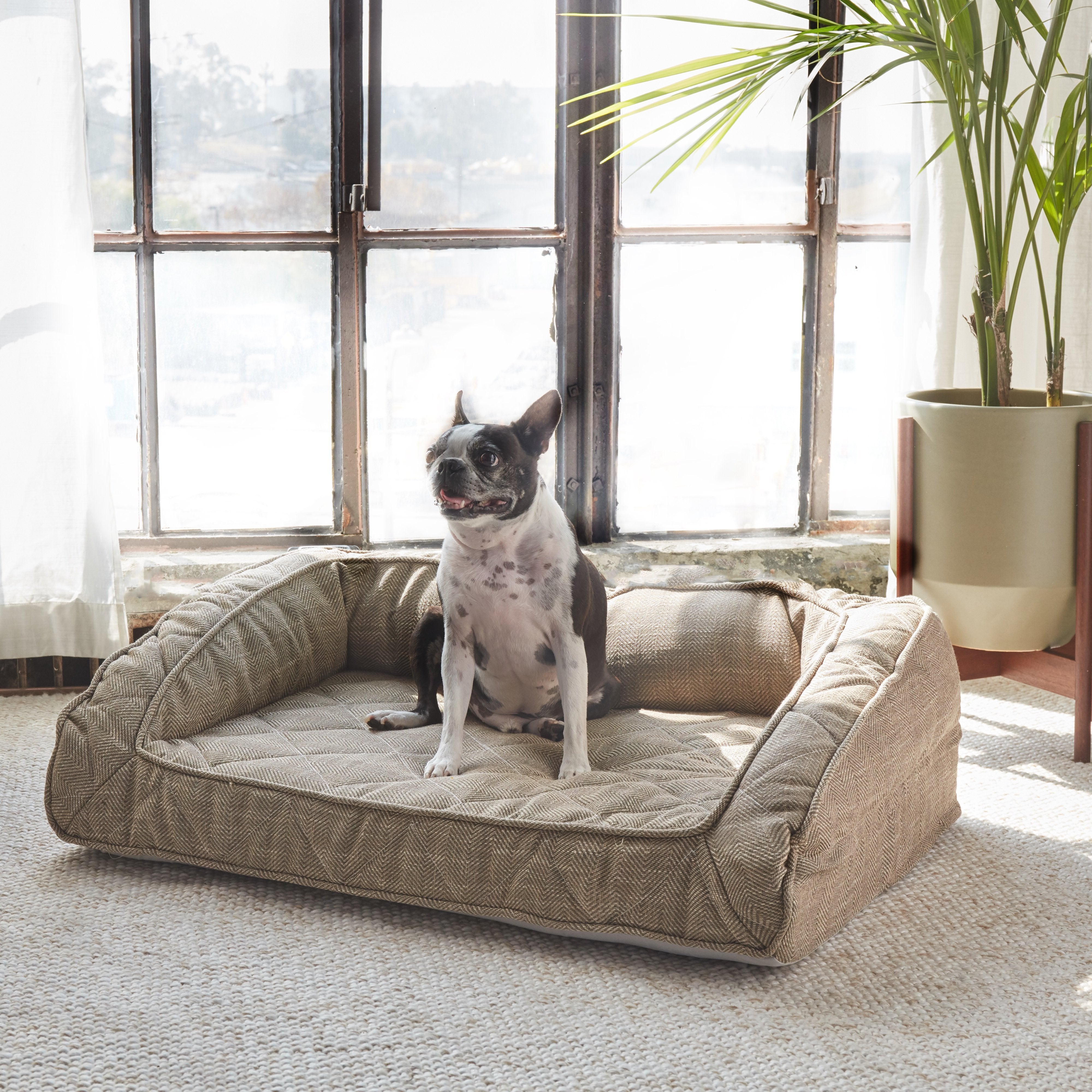 最新入荷 Dog Home Brentwood | Covers Bed Pet | Cover Replacement Bed その他