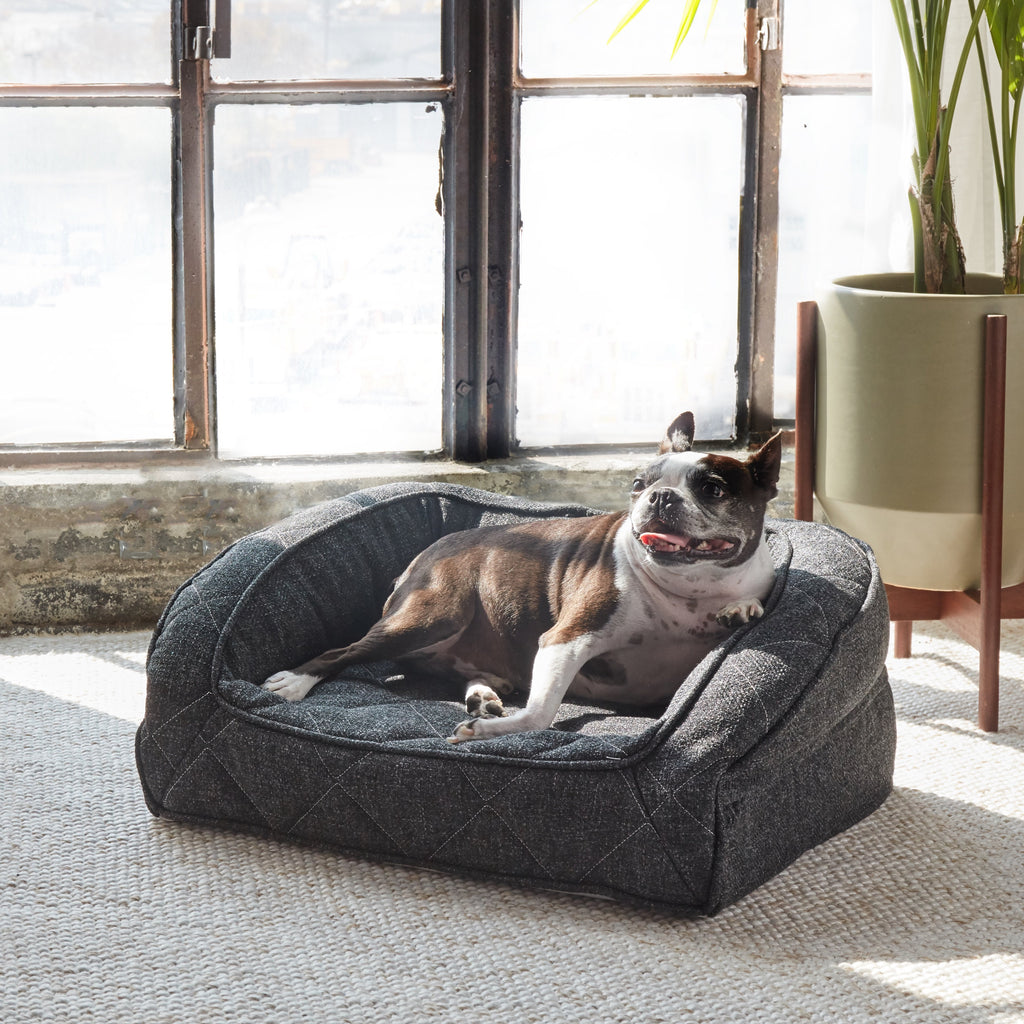 Runyon Dog Bed Replacement Cover