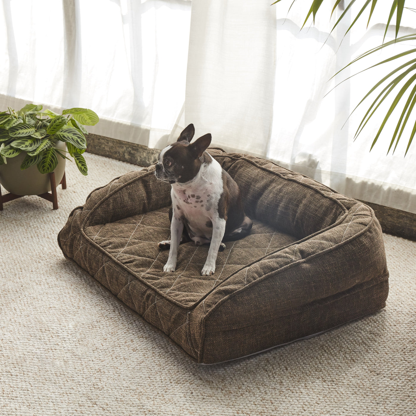 Large Orthopedic Dog Bed & Pet Beds